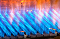 Lantyan gas fired boilers